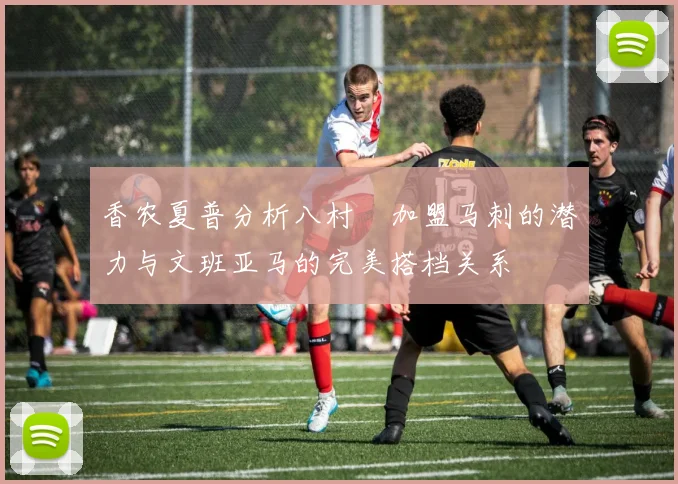 香农夏普分析八村塁加盟马刺的潜力与文班亚马的完美搭档关系